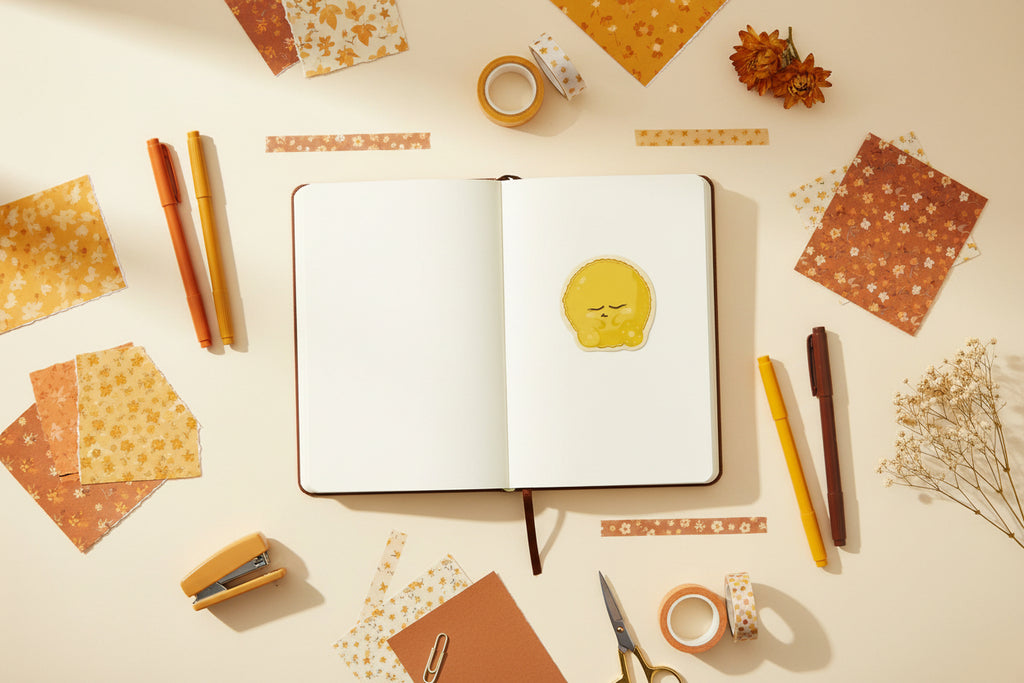 Dawn collection - Pack of 3